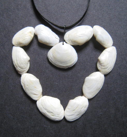 clamshell heart