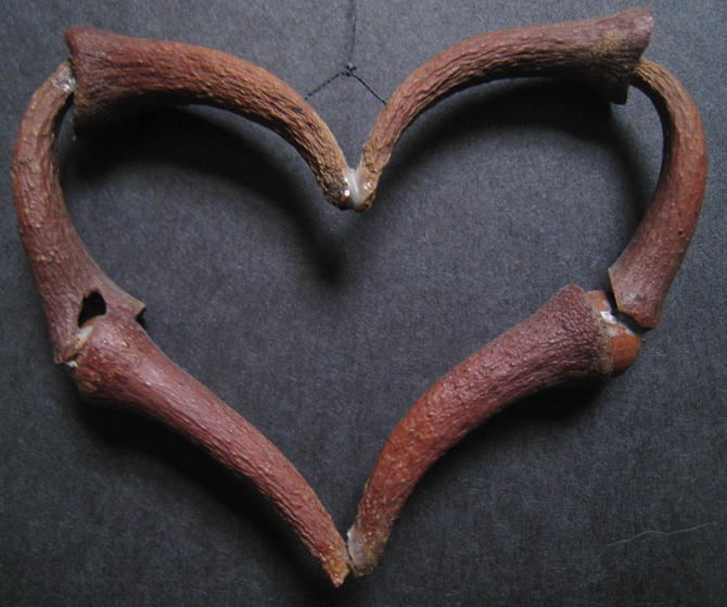 cornucopia(?) heart