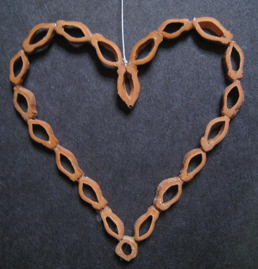 plum pit heart