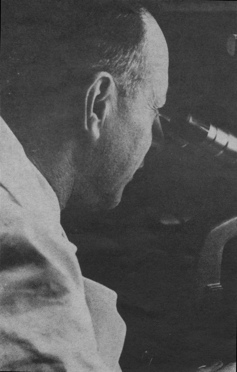 Dr. David Spain from back right, looking into microscope